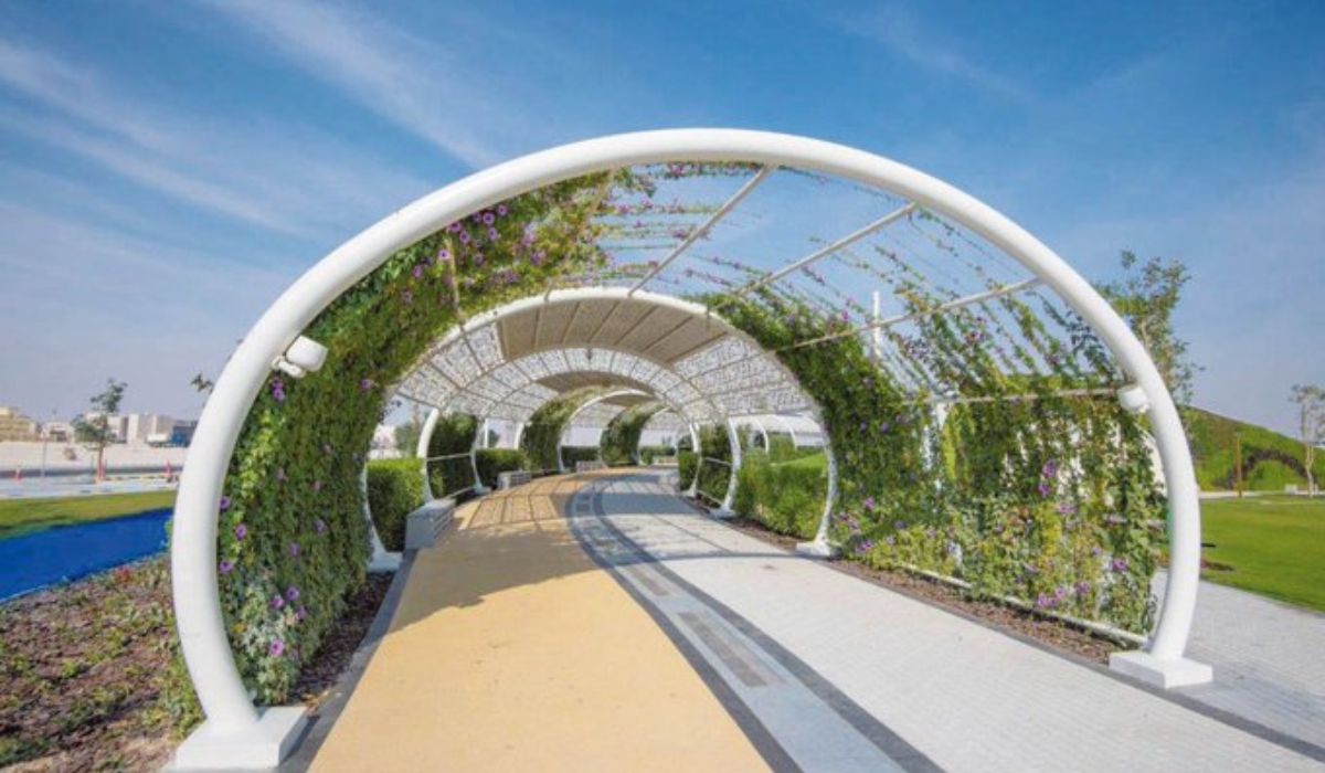 Qatar Enters Third Phase of Summer as Al-Haq'ah Star Rises